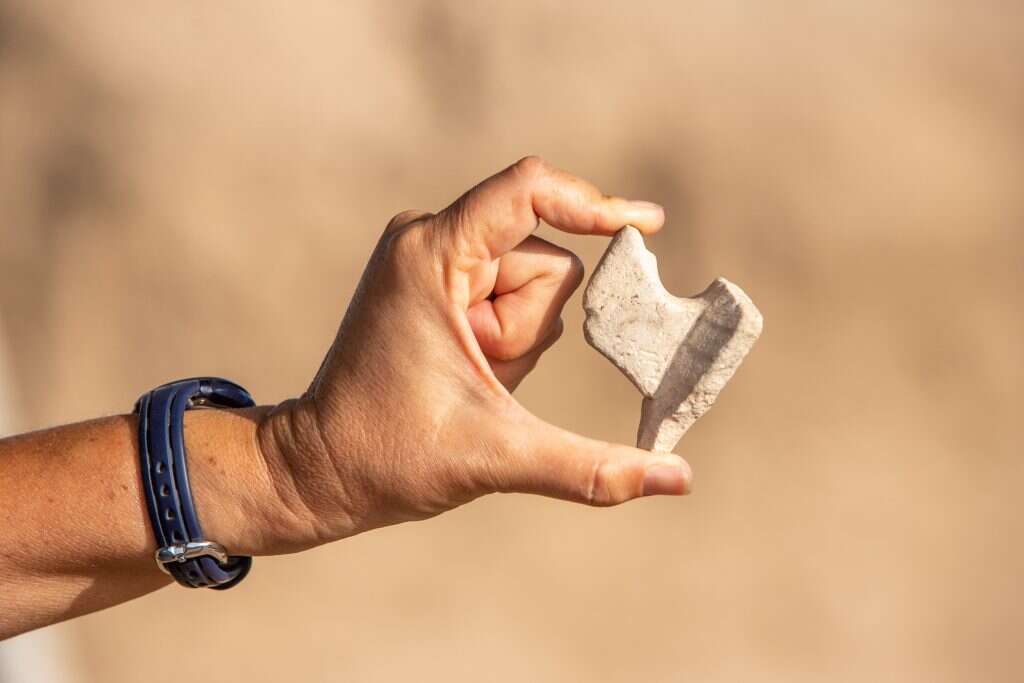 שריה דיאמנט