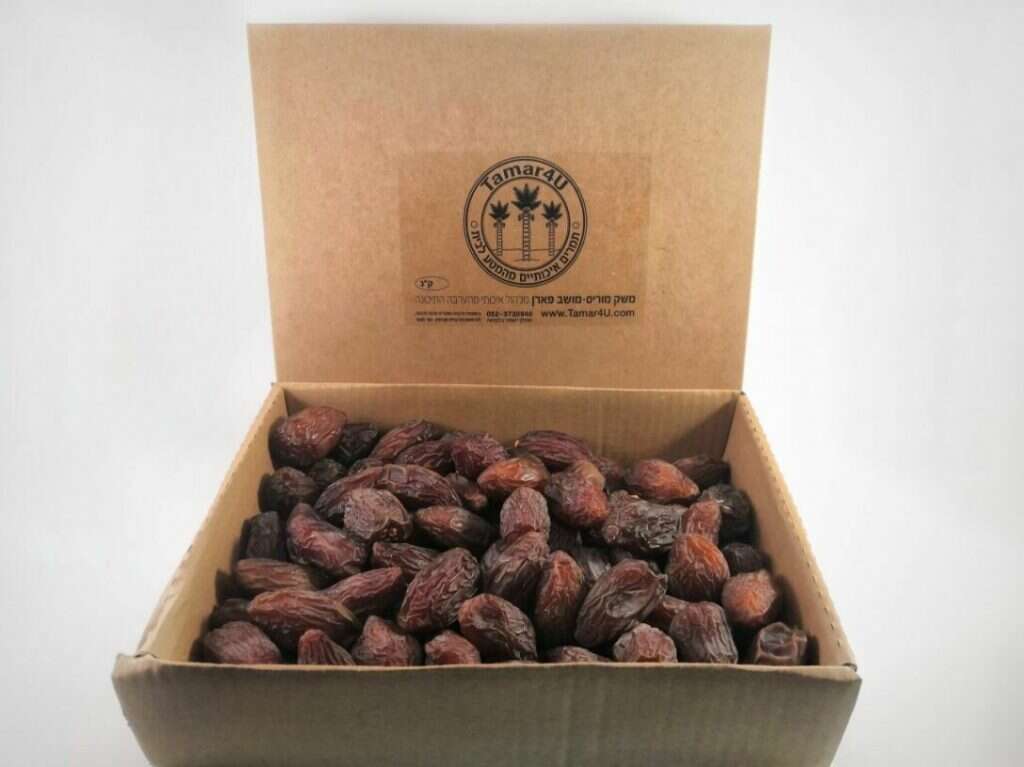 מארז 2 ק"ג תמר מג'הול. | אבירם מוריס