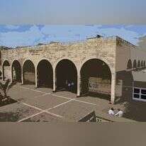 דודי ועקנין