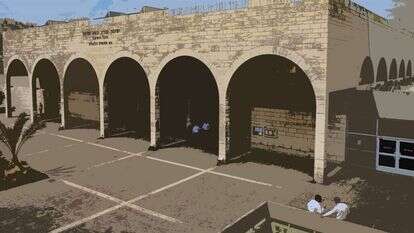 דודי ועקנין