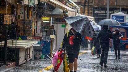 אוליבייה פיטוסי - פלאש 90