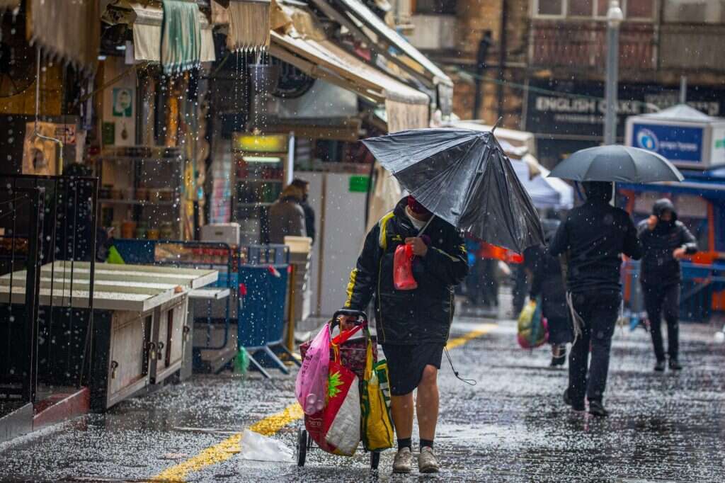אוליבייה פיטוסי - פלאש 90