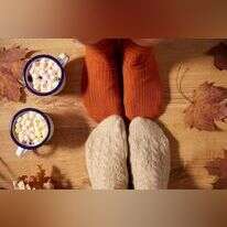 שאטרסטוק שאטרסטוק