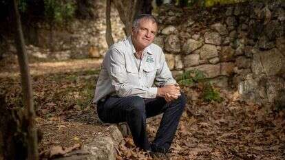 שאול גולדשטיין. | יונתן זינדל, פלאש 90