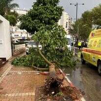 עץ שקרס בנתניה. | דוברות מד"א עץ שקרס בנתניה. | דוברות מד"א