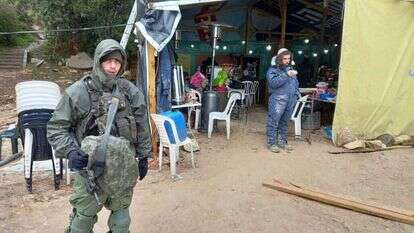 חומש. | שילה פריד