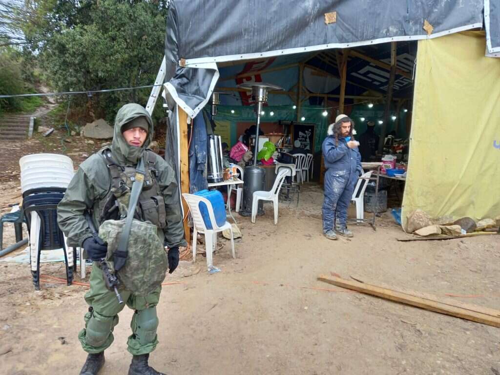 חומש. | שילה פריד