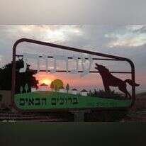 ענתות. | אלה בס