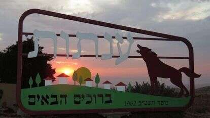 ענתות. | אלה בס