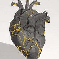 איור: שרון ארדיטי