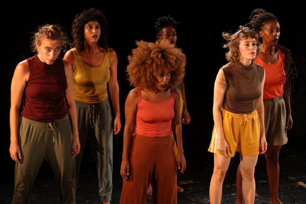 אייל אקהאוס