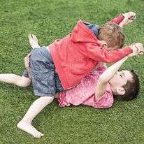 ריב אחים, אילוסטרציה. | שאטרסטוק