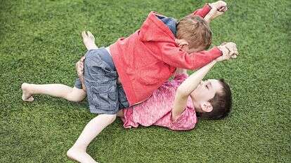 ריב אחים, אילוסטרציה. | שאטרסטוק