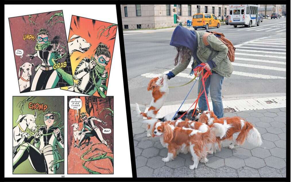 צילומים: גטי אימג'ס, DC comics