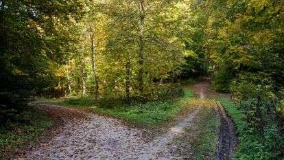 שאטרסטוק שאטרסטוק