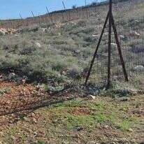 טרור חקלאי ביצהר. | דוברות יצהר