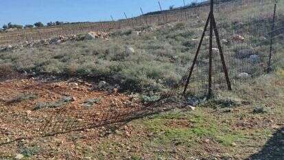 טרור חקלאי ביצהר. | דוברות יצהר