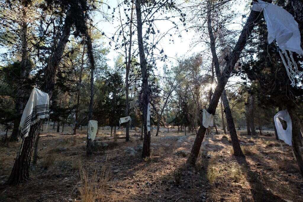 אהרון קריצר