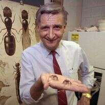 אדוארד וילסון. | AP