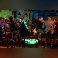 אבישג שאר–ישוב