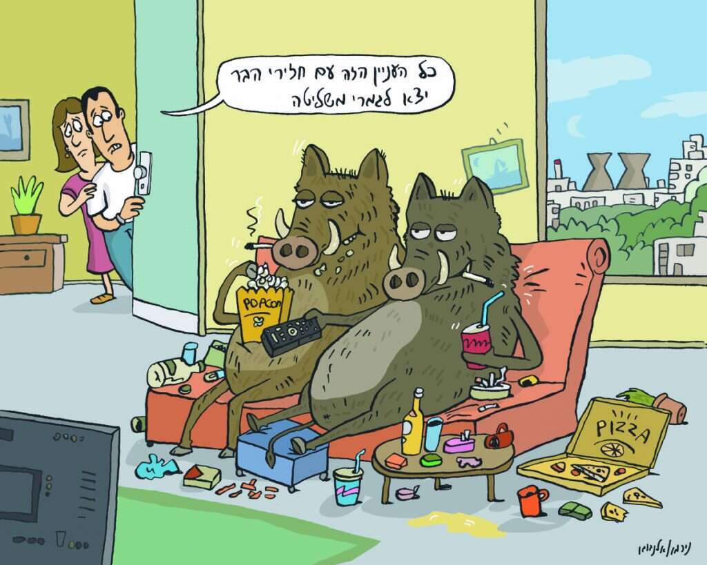 איור: עמוס אלנבוגן וניר מולד (נירמו)