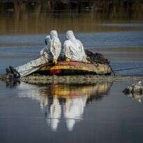 עובדי משרד החקלאות אוספים ציפורים שנפגעו משפעת העופות בצפון. ארכיון. | מורז ברום/פלאש90