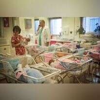 אילוסטרציה. | הדס פרוש, פלאש 90