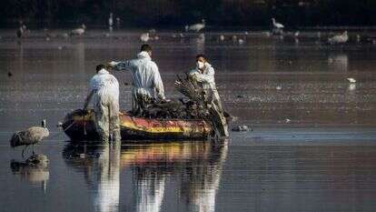 עובדי משרד הבריאות באגמון החולה. | לירון מולדובן, פלאש 90