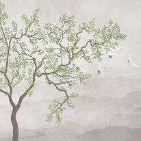 איור: שאטרסטוק