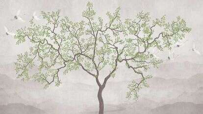 איור: שאטרסטוק