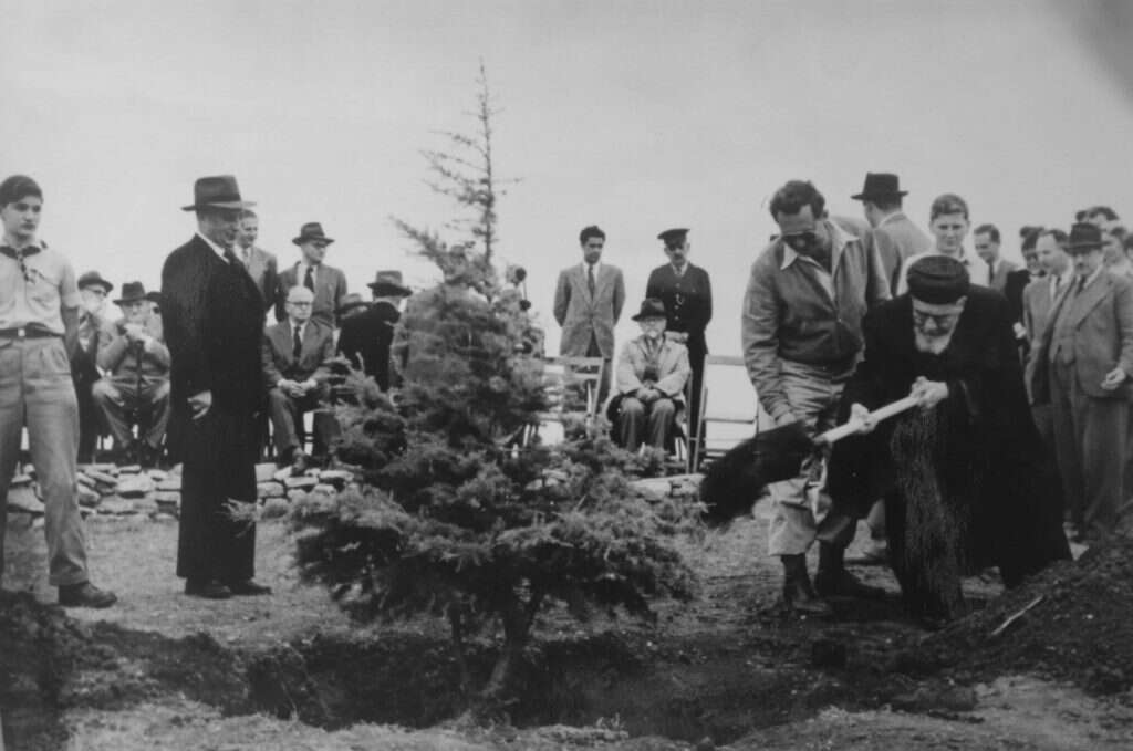 הרב בן ציון מאיר חי עוזיאל נוטע עץ בהר הרצל, 1949. | באדיבות הארכיון הציוני המרכזי