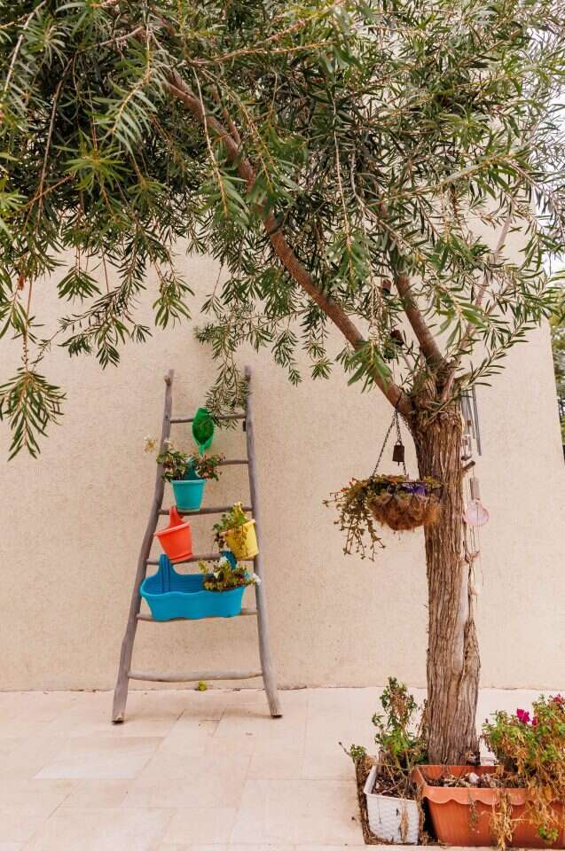 ברוך גרינברג