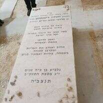 קרדיט תמונה: אריאל דנינו