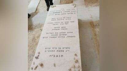 קרדיט תמונה: אריאל דנינו