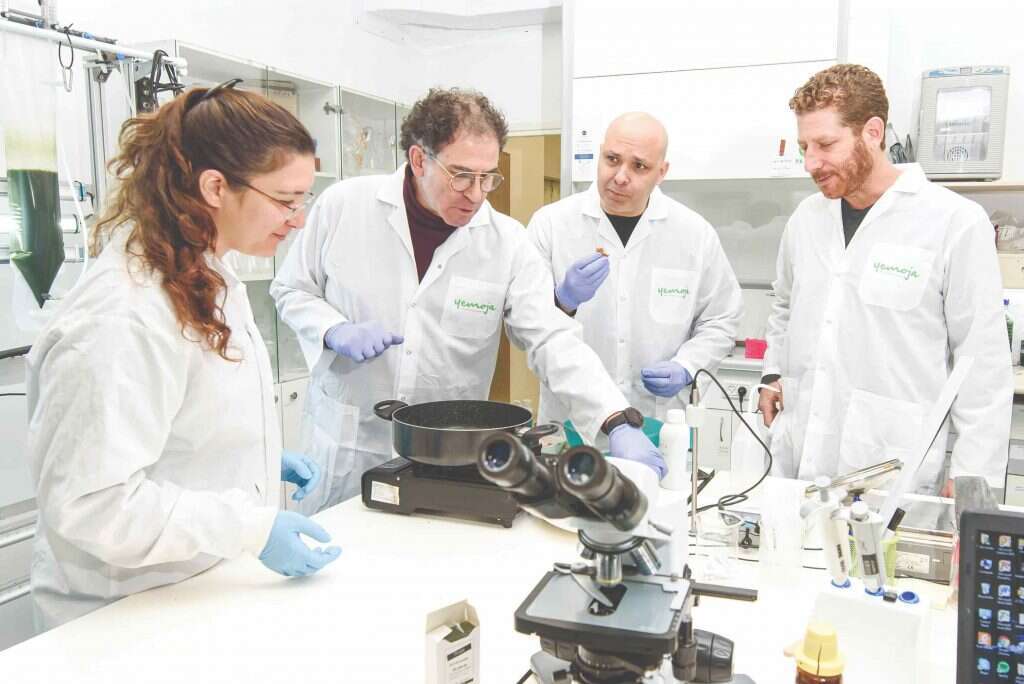 במעבדת חברת ימוג'ה. | אייל מרגולין - ג׳יני