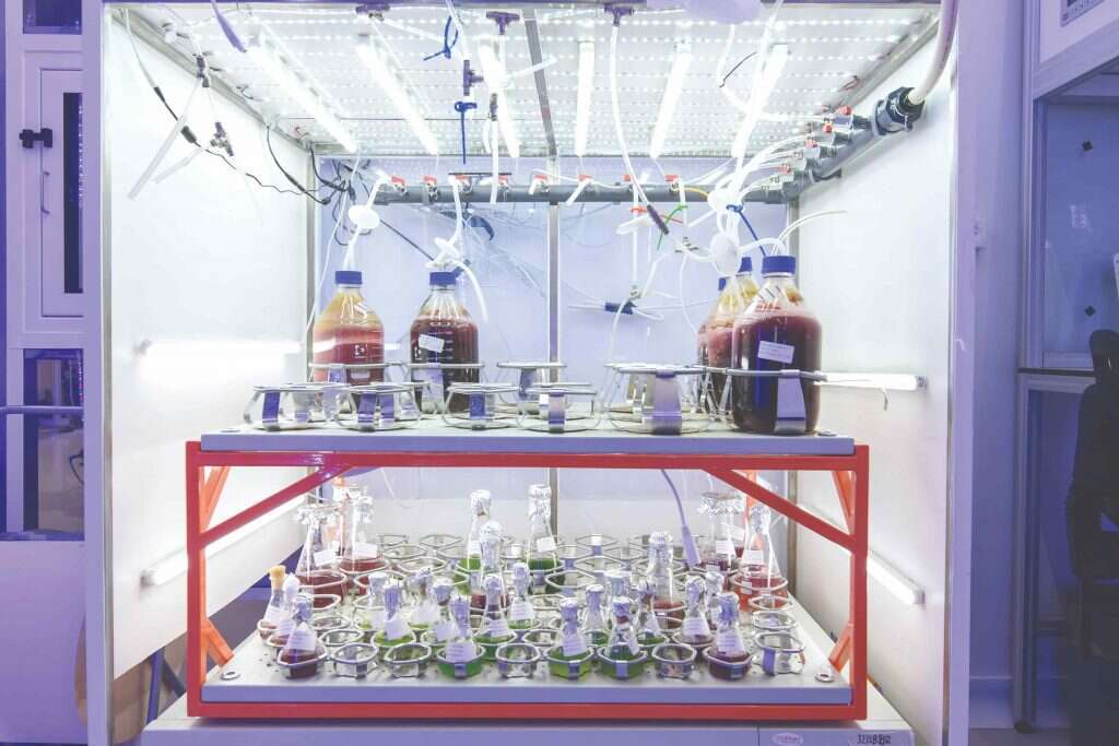 דם מלאכותי במעבדת חברת ימוג'ה. | אייל מרגולין - ג׳יני