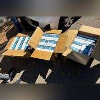 בדיקות אנטיגן. | דוברות המשטרה