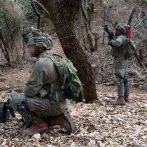 חיילי אגוז באימון לחימה בטרור גרילה. | דו"צ