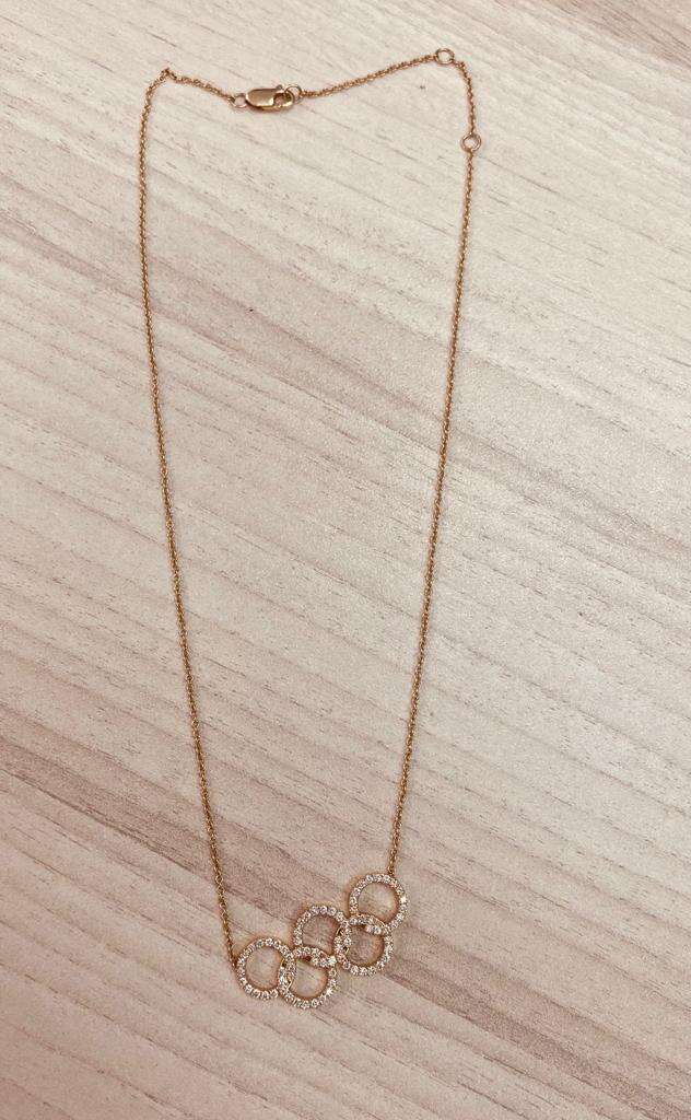 השרשרת של לינוי אשרם. | דוברות המשטרה