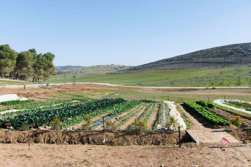 לירון מולדובן