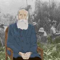 איור: מוריה קראוס. | זלוטן קלוגר, לע"מ