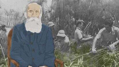 איור: מוריה קראוס. | זלוטן קלוגר, לע"מ