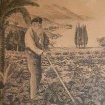 איור: אהרון הלוי, באדיבות בית גורדון