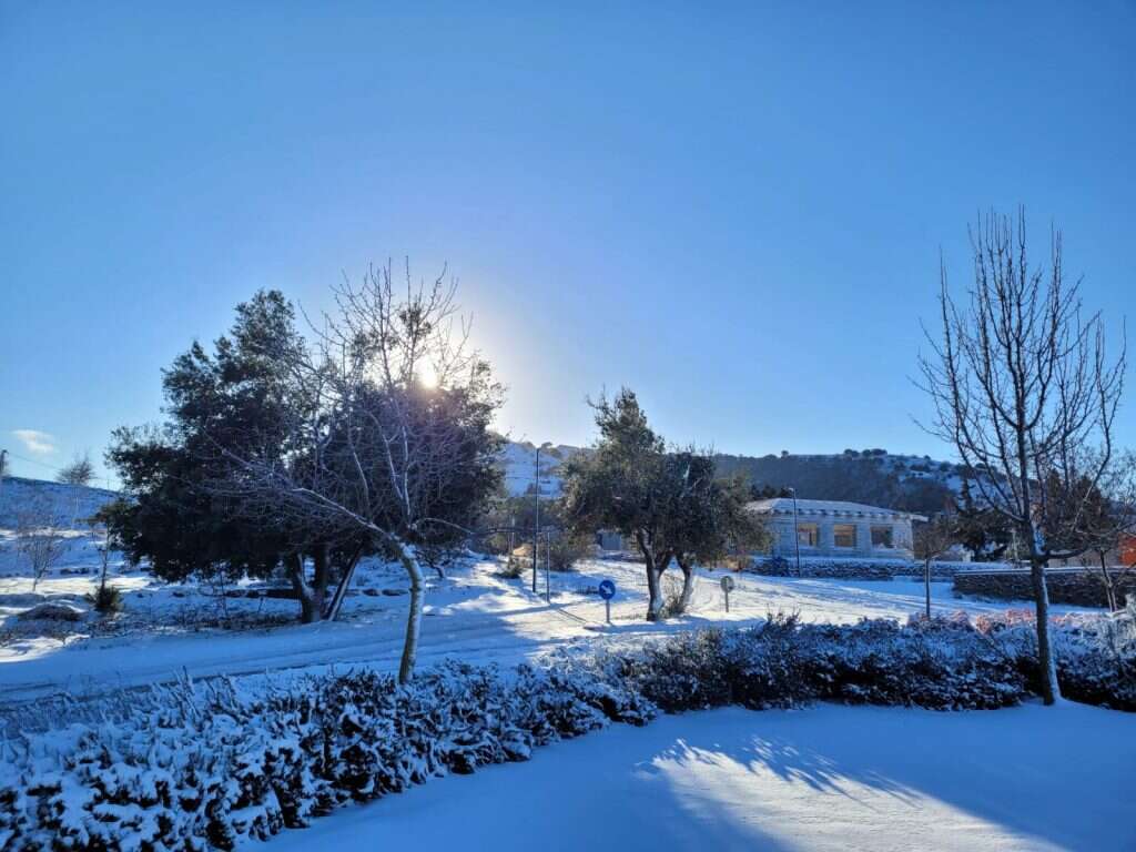 דוברות מואז גולן. צולם במרום גולן