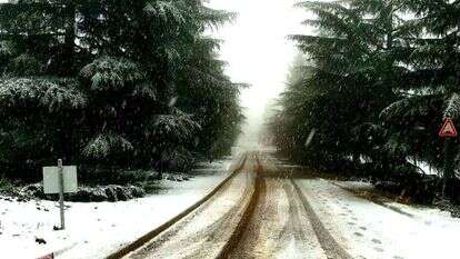 שלג ביער אודם. | אורי קלנר