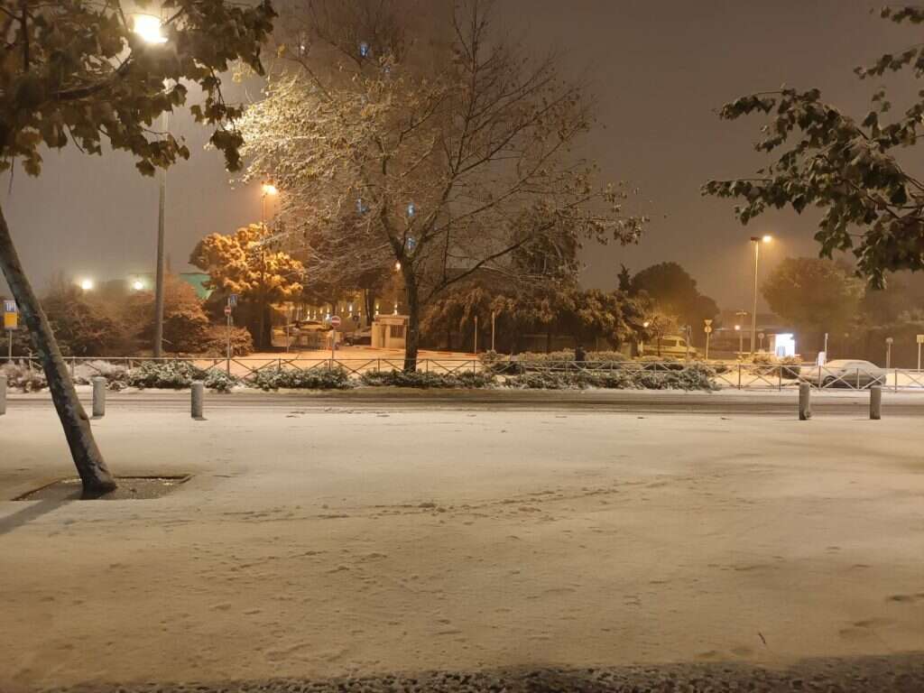 קרדיט | מיכל קסירר