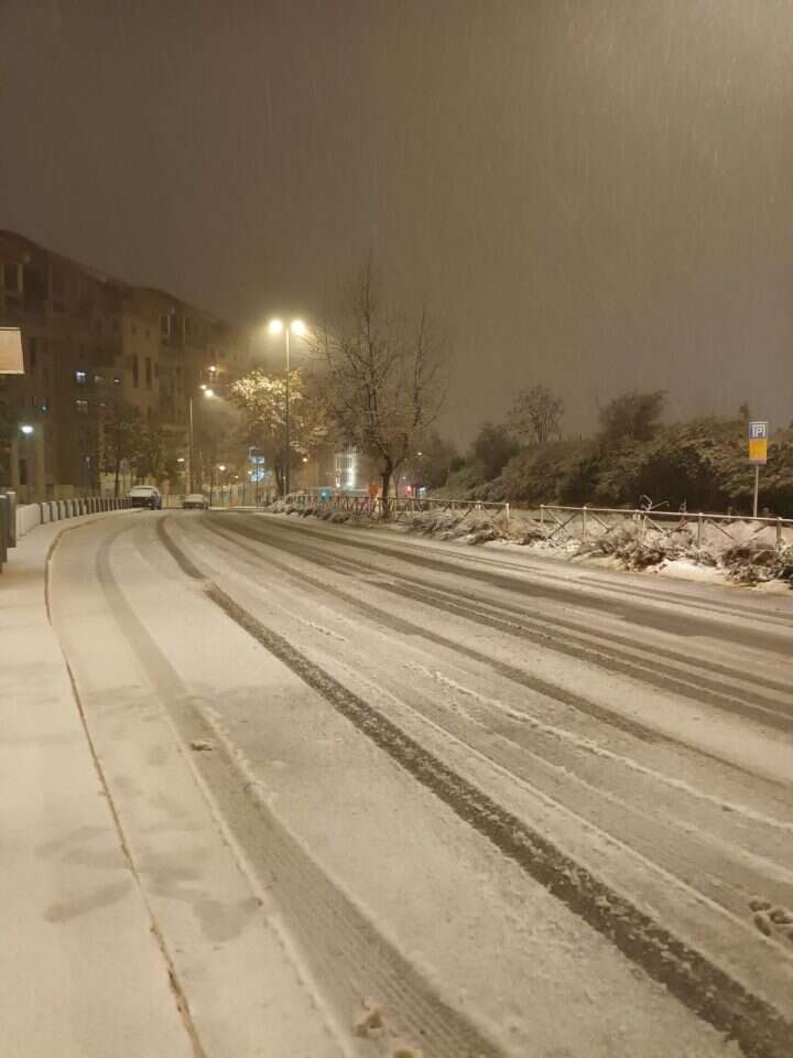 קרדיט | מיכל קסירר