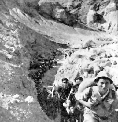 מאיר הר־ציון של הצמחים. טוביה קושניר. | באדיבות ארכיון הפלמ"ח