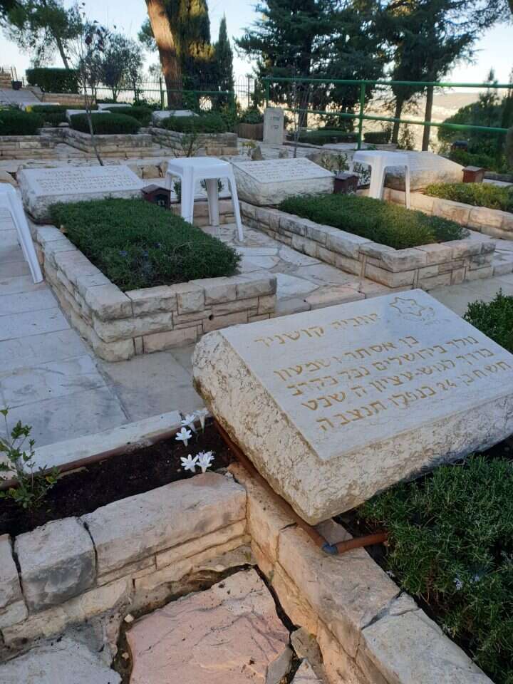 מחווה צנועה ומרגשת לפנומן צמחי ארץ ישראל. ששת פסלוני הסתווניות בהר הרצל. | עמיאל וסל