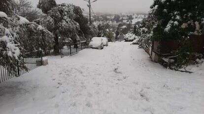 שלג בבית אל, בחורף שעבר. | שלמה פיוטרקובסקי